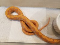 20160531_182554.jpg