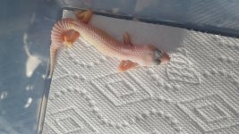 20160407_131444.jpg