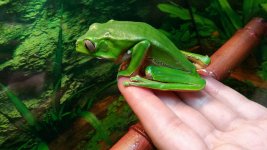 20160224_162945.jpg