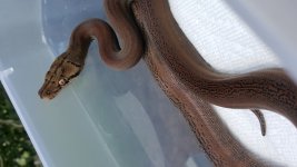 20160805_145049(0).jpg
