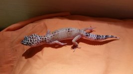 20160407_100619.jpg