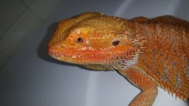 20160508_143338.jpg
