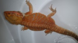 20160508_143316.jpg