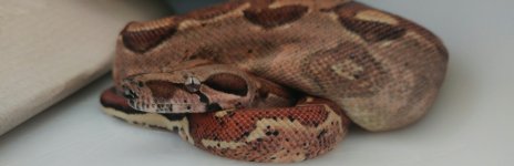 20160416_080256.jpg