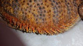 rsz_20160526_232316.jpg