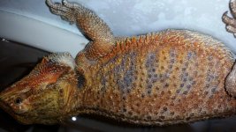 rsz_20160526_232158.jpg