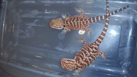 rsz_20160420_110843.jpg