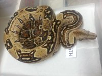 20160403_235549.jpg