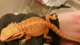 20160408_010322.jpg