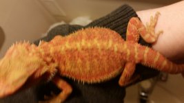 20160408_010220.jpg