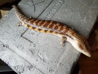 20160711_111945.jpg