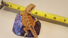 20160720_122605.jpg