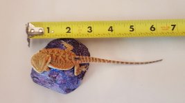 20160720_122627.jpg