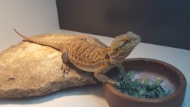 20160402_184014.jpg