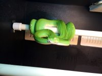 FullSizeRender-2.jpg