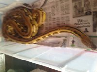 IMG_3064.jpg