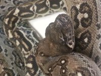 20160328_012039.jpg