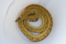 DSC_1169.jpg