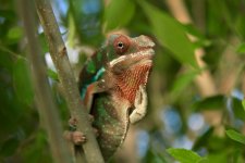 IMG_6103.jpg