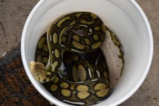 DSC_1171.jpg