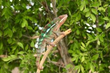 IMG_6119.jpg