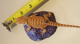 20160720_130813.jpg