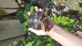 20160627_124005.jpg