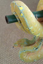 20160422_105232-1-1.jpg