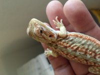 20160408_100657.jpg
