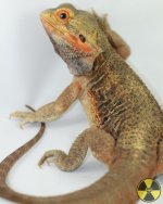 kronos-6523.jpg