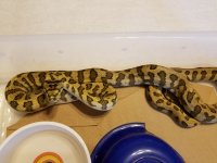 20160724_112538.jpg