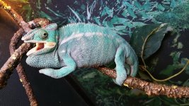 20160505_161359.jpg
