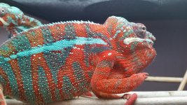 20160314_170846.jpg