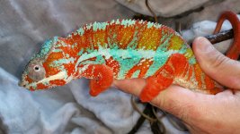 20160314_165158.jpg