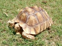 IMG_20160615_134025.jpg