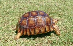 IMG_20160615_133852.jpg