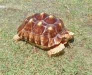 IMG_20160615_133930.jpg