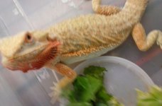 20160719_130219.jpg
