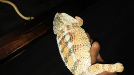 20160408_180304.jpg