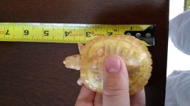 20160621_151429.jpg