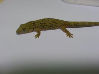 20160422_171948.jpg
