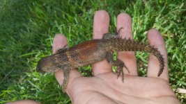 20160728_172135.jpg