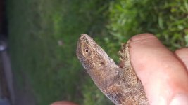 20160728_172204.jpg