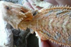 20160723_173559.jpg