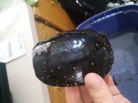 20160601_110832.jpg