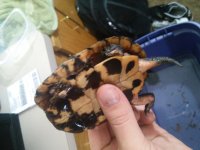 20160601_110847.jpg