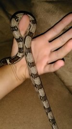 IMG_20160729_225842.jpg