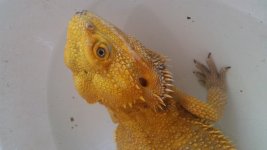 20160525_163942.jpg