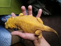 20160515_171514.jpg