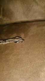 IMG_20160729_225852.jpg